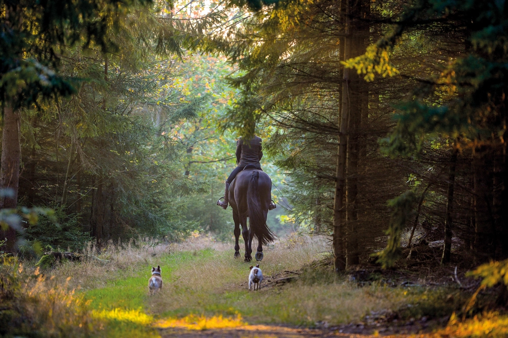 06 / 08 Ulrichshof, Rimbach, Bayerischer Wald