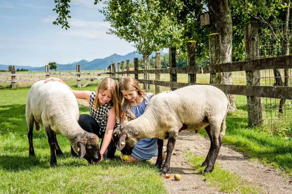 07/07 Hanznhof, Bernau am Chiemsee, Oberbayern