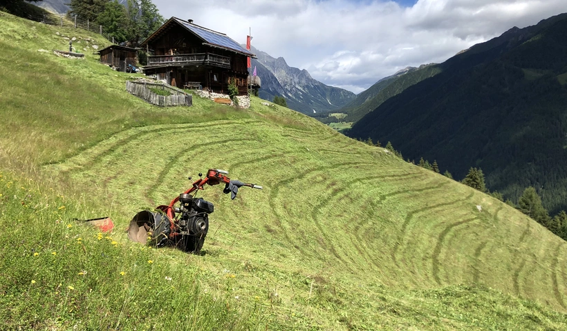 Von tierischen Freundschaften und nachhaltiger Landwirtschaft