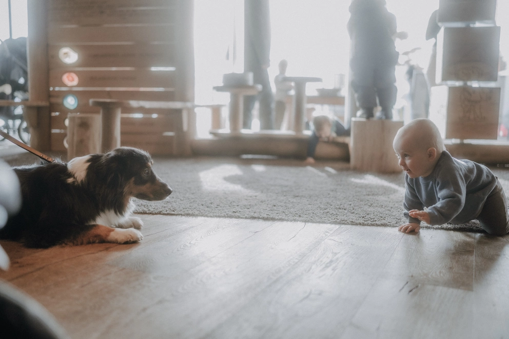 06 / 07 Familiamus, Meransen, Südtirol