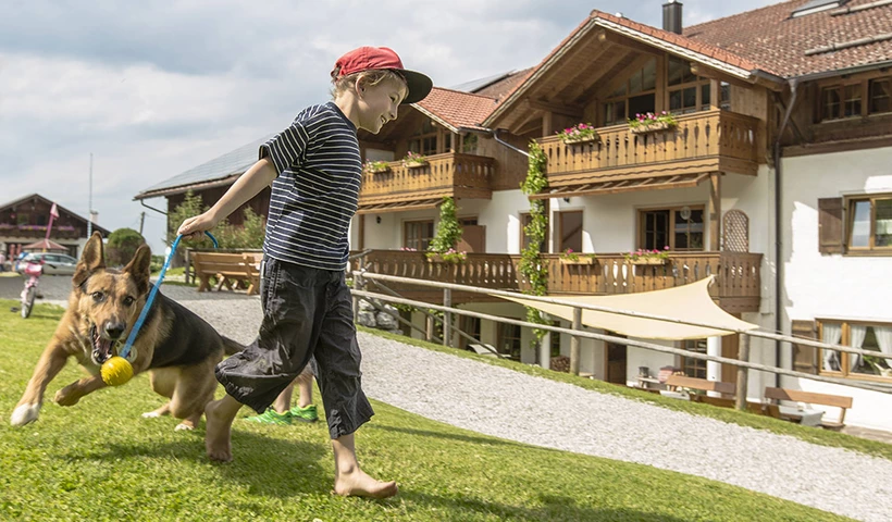 Im Urlaub auf den Hund gekommen