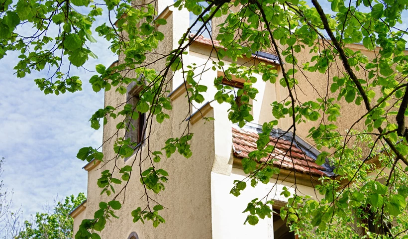 Beim Wein wohnen - Vier geschmackvolle Erlebnisse von Rheinhessen bis in die Toskana