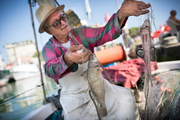 Auf den Spuren von Fischers Fritze durch Caorle