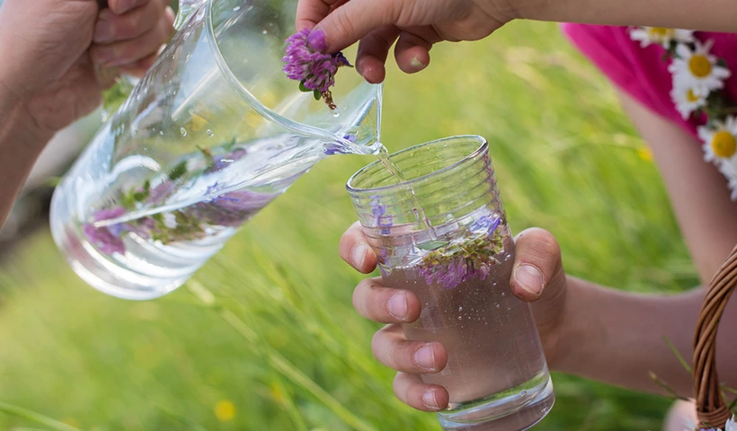 Sommerfrische aus dem Glas