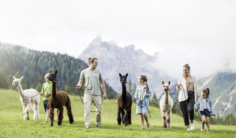 7 tierische Urlaubserlebnisse für die ganze Familie