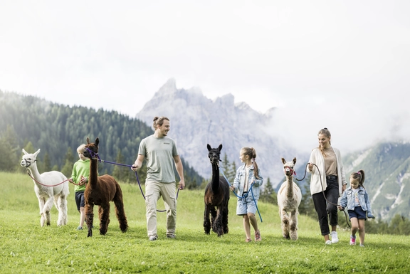 7 tierische Urlaubserlebnisse für die ganze Familie