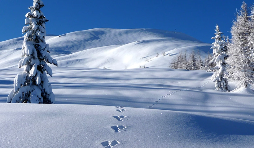 Die drei schönsten Schneetouren im Lesachtal