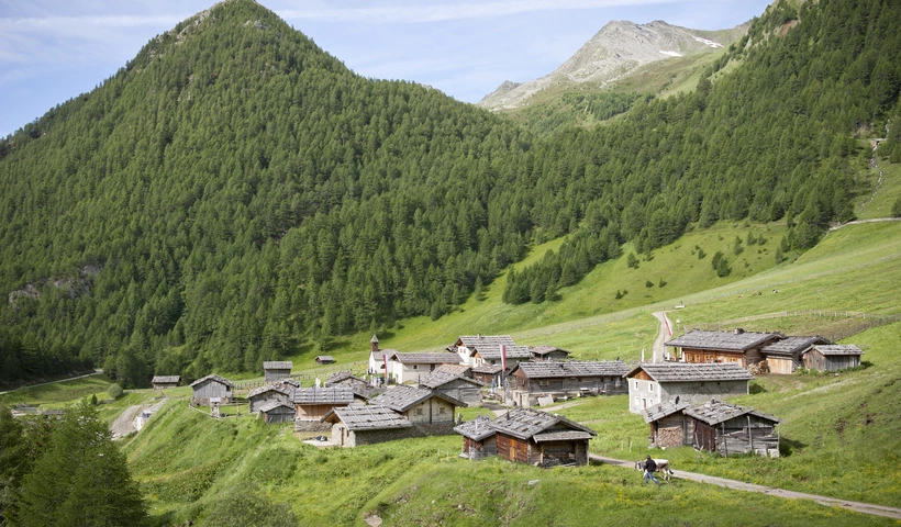 Ab auf die Alm