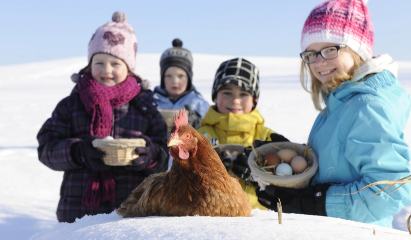 Luftig, tierisch, altehrwürdig - und immer authentisch