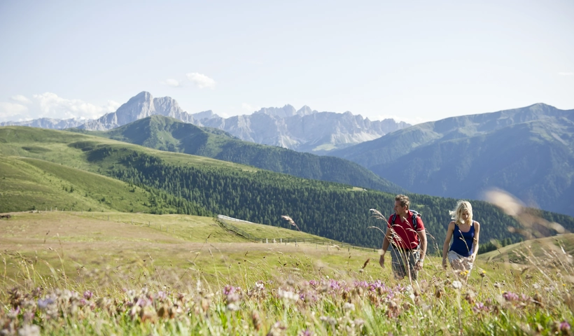 Ab auf die Alm