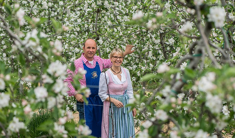 Auf zum Apfel