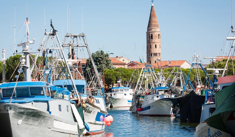 Stadt der Fischflüsterer 