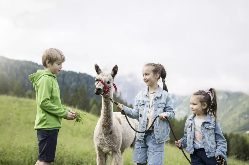 05 / 07 Family Resort Rainer, Sexten, Südtirol