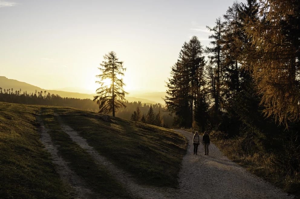 05 / 08 Franzin Alm, Eggental, Südtirol