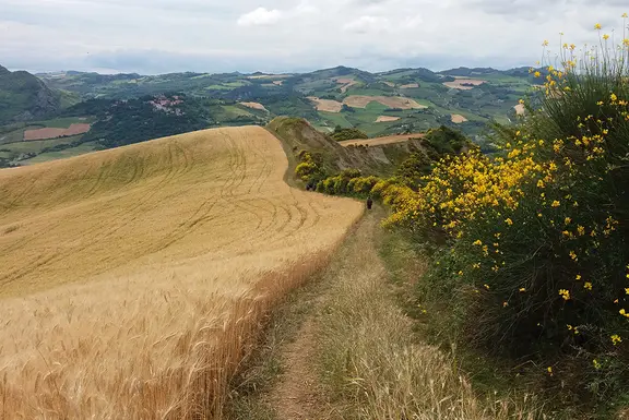 14 Wege zu sich selbst durch die Emilia-Romagna