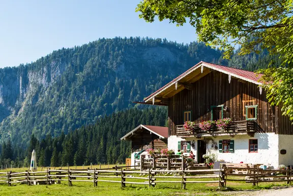 Fernsicht statt Fernreise