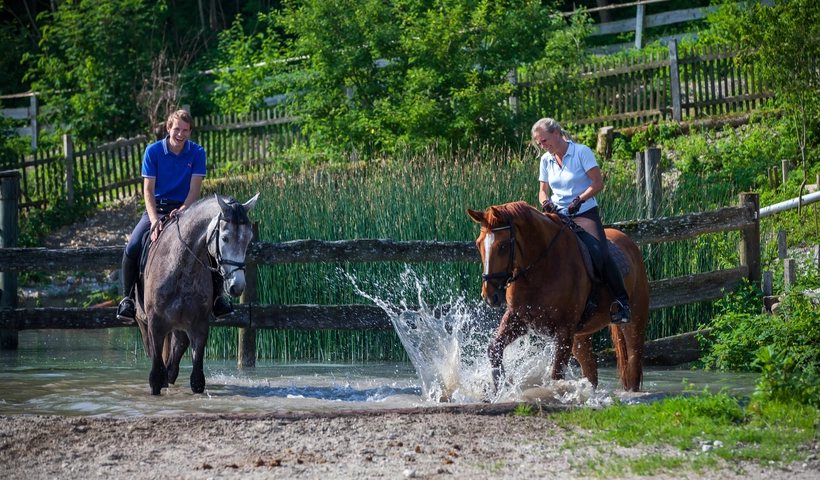 Urlaubsglück auf bayerischen Reiterhöfen