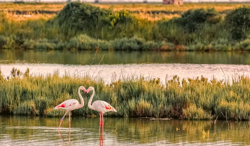 Emilia Romagna: Urlaubsglück am Meer