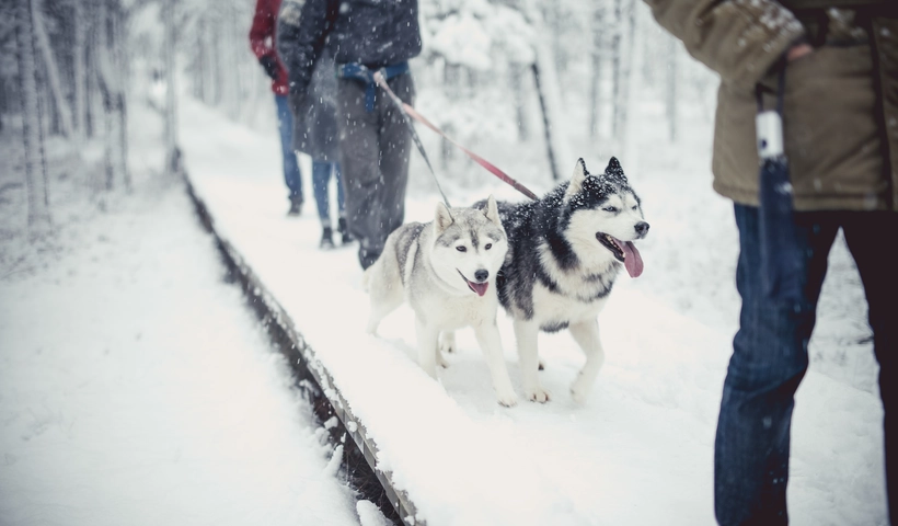 Winterliche Aktivitäten in Estland